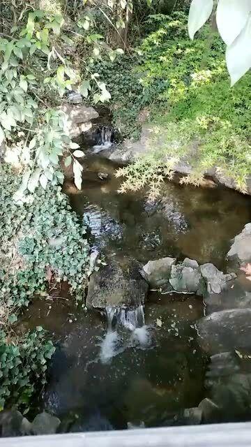 证监会:把资本市场稳定运行放在更加突出的位置 着力稳市场、稳信心