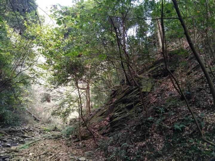 内乡县马山口镇卫生院迎接2023年度年终医疗质量检查