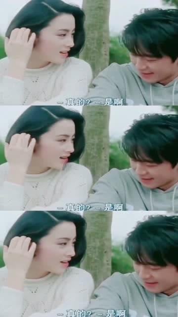 破碎的动物图形