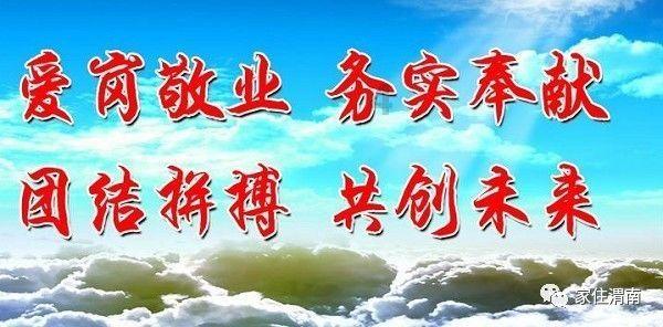 创作猫