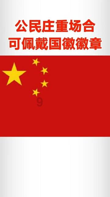 石家庄黑老大马振起，征服里宋老虎的原型，称霸石家庄近30年