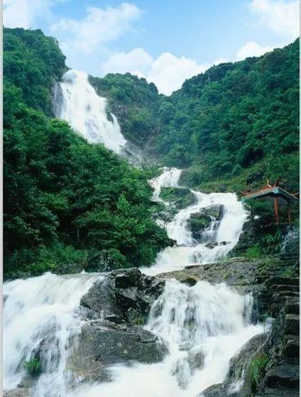 泡泡升空记8