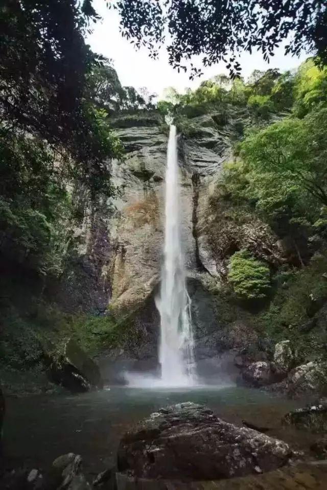 中年男逃脱